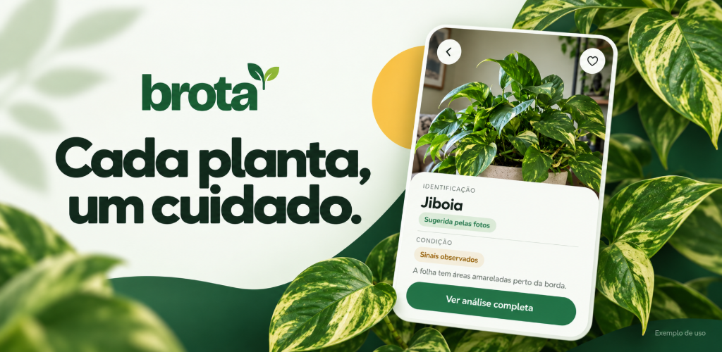 Brota: Cada planta, um cuidado. Folhas de jiboia cercam uma prévia da identificação e dos sinais observados.